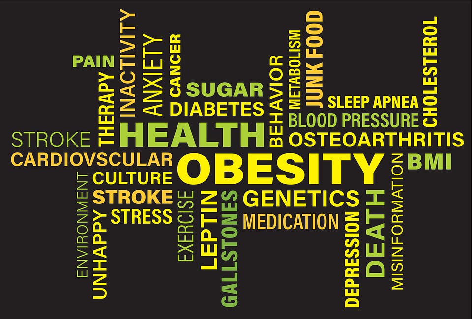 effects of obesity