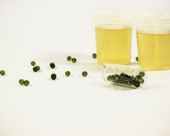 quick fix urine sample