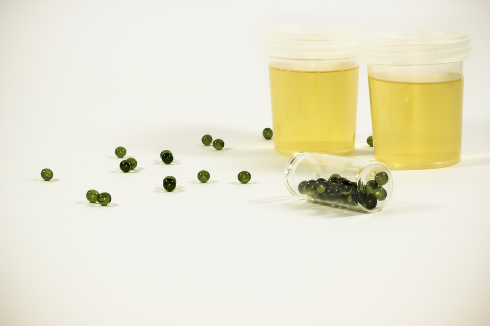 quick fix urine sample