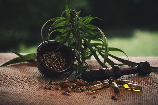 cbd products