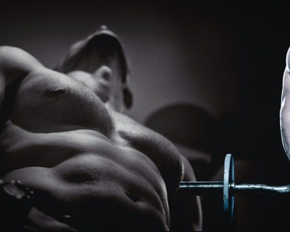 muscles biceps fitness