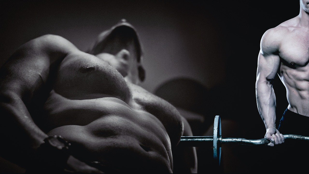 muscles biceps fitness