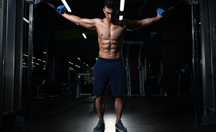 muscle